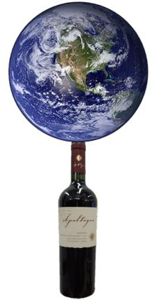 Earth on Bottle Earth on Bottle